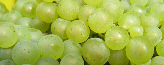 grapes