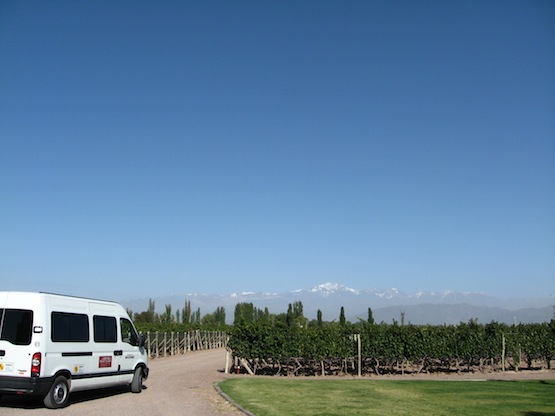 mendoza1