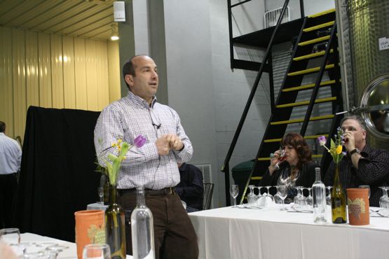 merlotvertical20115