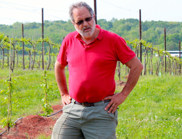 Doug Fabbioli of Fabbioli Cellars