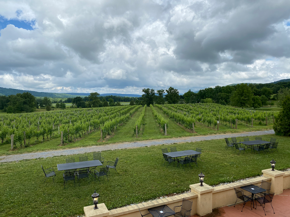 Virginia Wine Time Begins Phase 1 – Virginia Wine Time